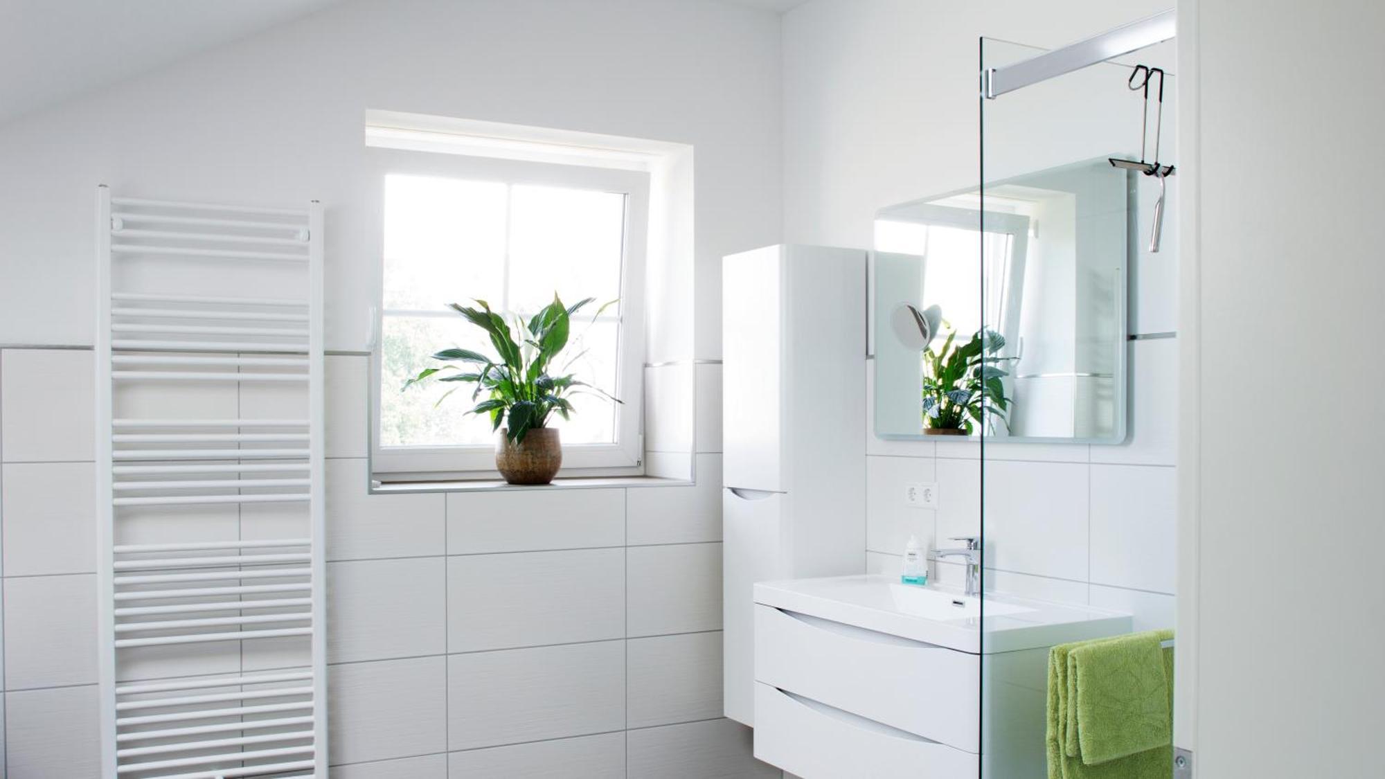 Ringelnatz & Lichtwer- Ferienwohnung Wurzen Oda fotoğraf