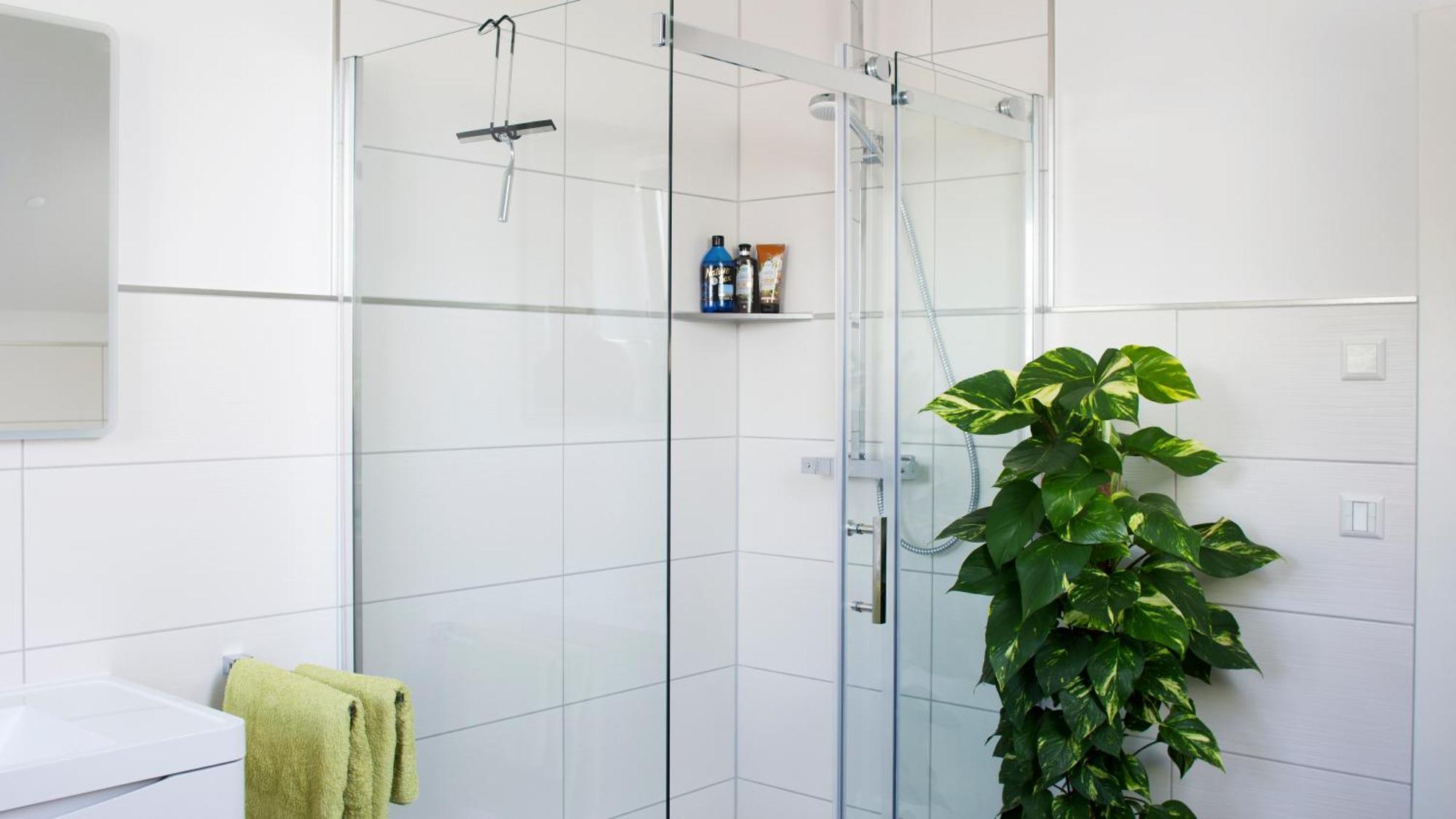 Ringelnatz & Lichtwer- Ferienwohnung Wurzen Oda fotoğraf
